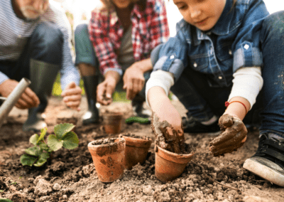 Gardening Safety Tips: Poisonous Plants List to Avoid