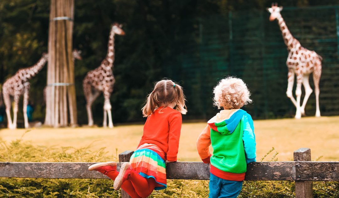 10 Things to do With Kids in Colorado This Summer