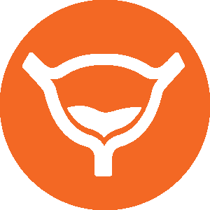 Bladder Icon