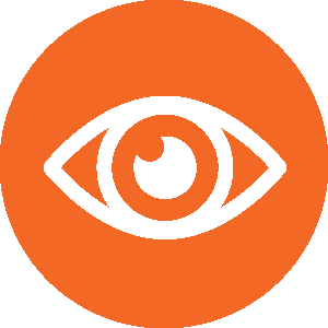 Eye Icon