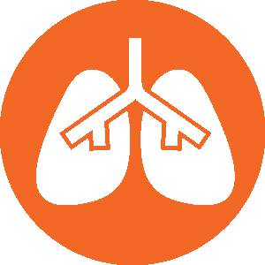 Lungs Icon