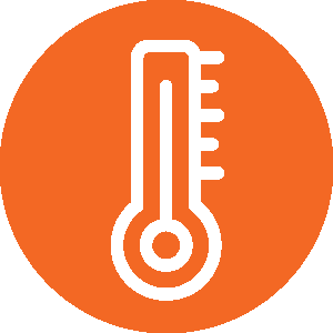 Fever Icon