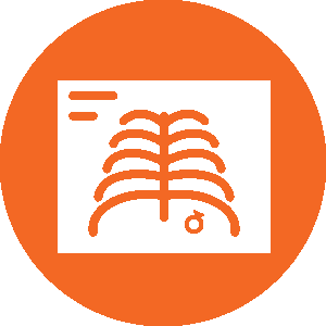 X-ray of chest with a ring in it icon